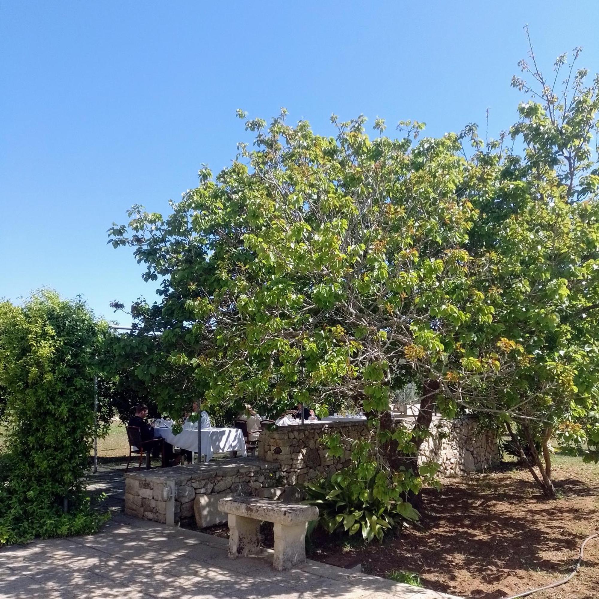 Agriturismo Villa Coluccia マルターノ エクステリア 写真