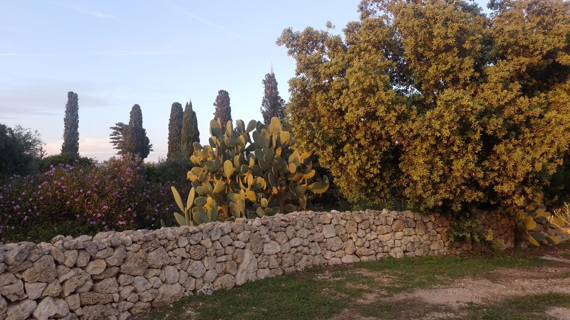 Agriturismo Villa Coluccia マルターノ エクステリア 写真