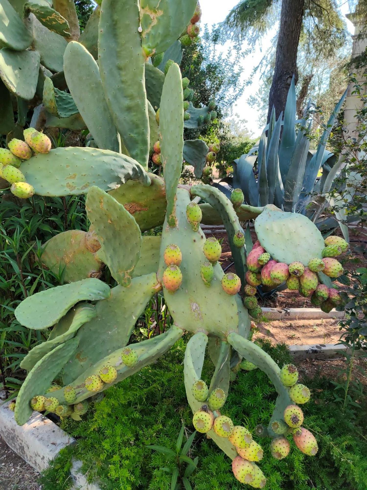 Agriturismo Villa Coluccia マルターノ エクステリア 写真